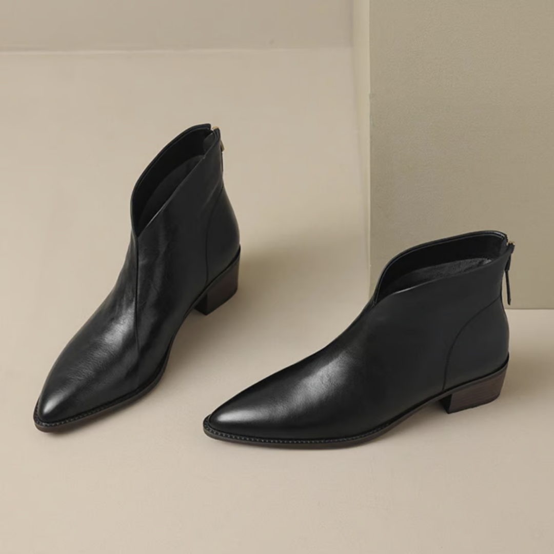 Pair of black ankle boots with pointed toes and block heels, set against a light indoor background.