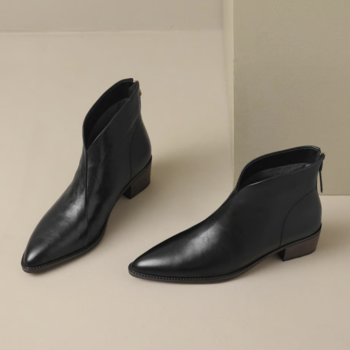 Pair of black ankle boots with pointed toes and block heels, set against a light indoor background.